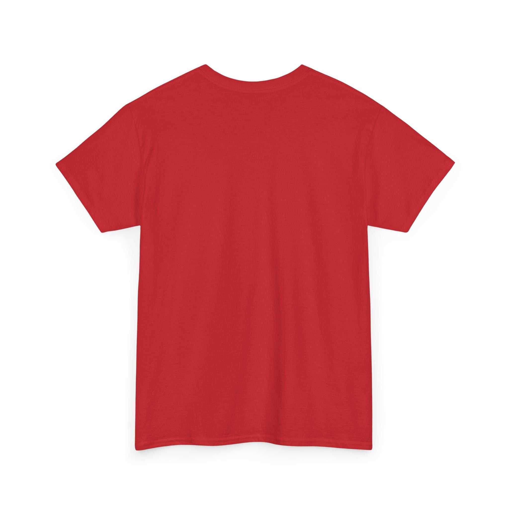 Rude Panda Graphic Tee — "You Can Go Fuck Yourself Bear" Funny Flame Design