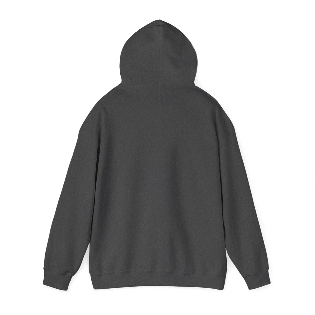 Pandas Inferno Hoodie — Fiery Panda Graphic Sweatshirt